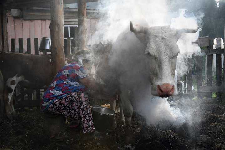Sergey Maximishin, Photography, Israel, Community
