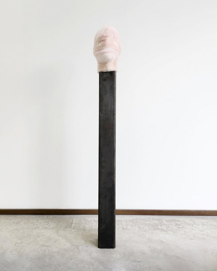 Ilya Fedotov-Fedorov, Museum of Skins, Ncontemporary, Milan