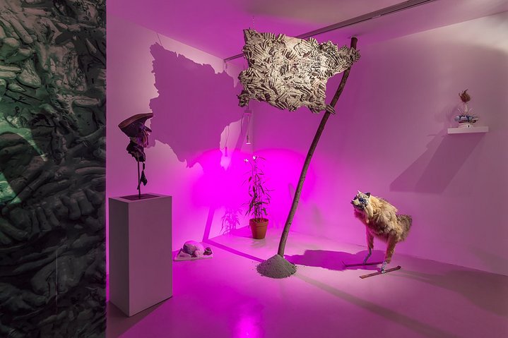 Piotr Diakov, Protected Zone, Anna Nova Gallery, Total Installations