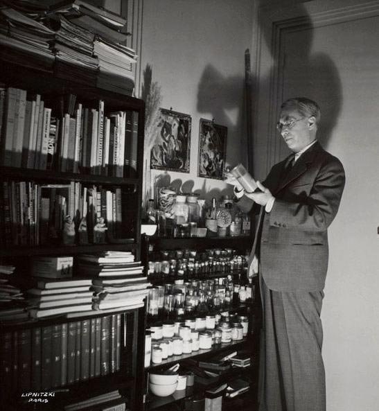 Wassily Kandinsky, Olga Medvedkova, Corps et âme, Biography