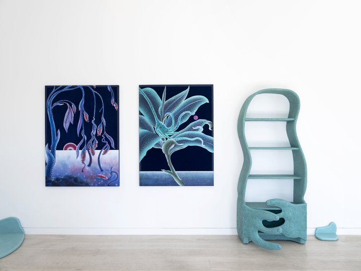 Barbora Žilinskaitė, Chairs Don’t Cry, Beyond The Visible, Friedman Benda Gallery