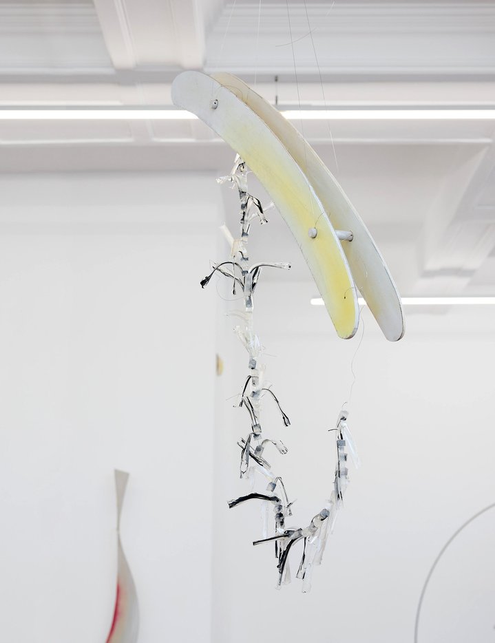 Daiga Grantina, Leaves, Emalin Gallery, London