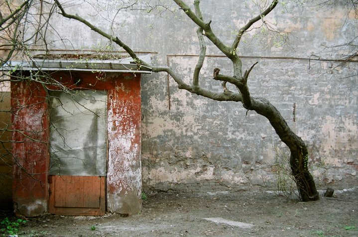 Dima Konradt, Photography, Israel, Community