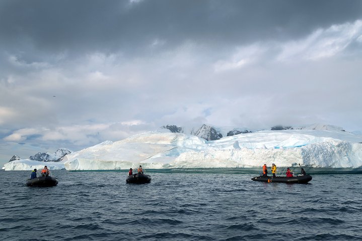 Alexander Ponomarev, Antarctic albedo, I Am but Mad North-North-West, State Tretyakov Gallery