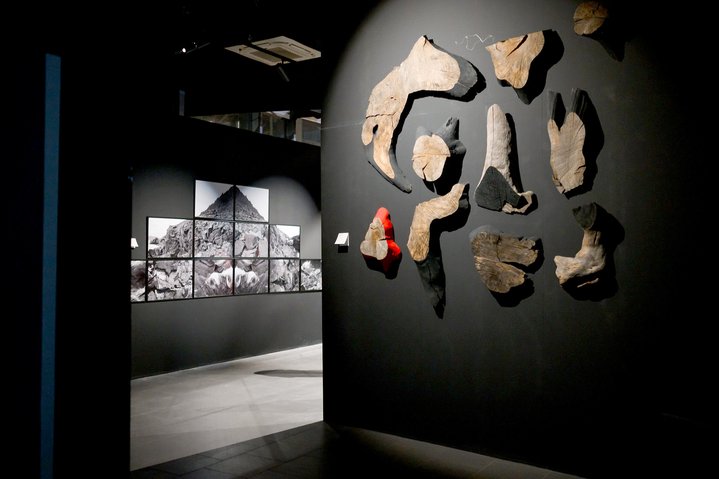 PERMM Museum for Contemporary Art, Yes and No, The Keepers of the Fire, Antiform № 15, Banyan Tree