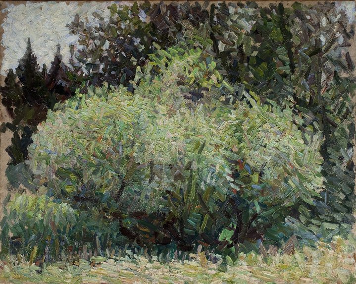 Vladimir Weisberg, The Pushkin State Museum of Fine Arts, From Colour to Light, Harmony