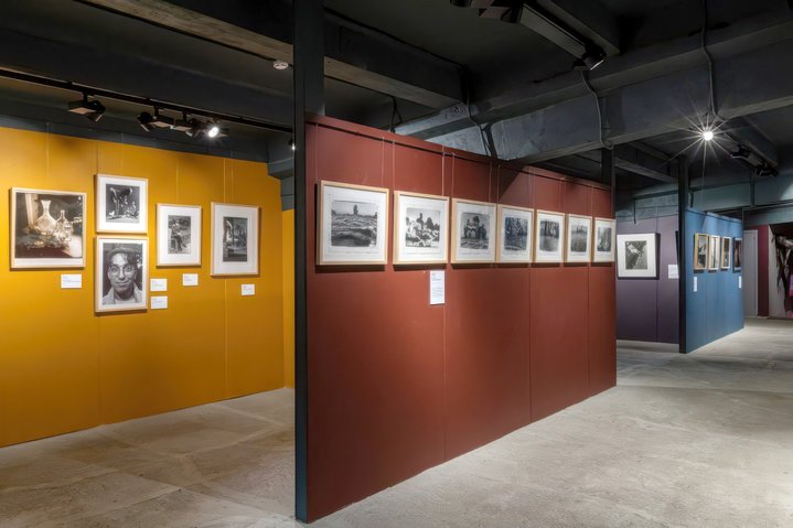 Biennale of Private Collections, Perekollektsiya, DK Gromov, Photography