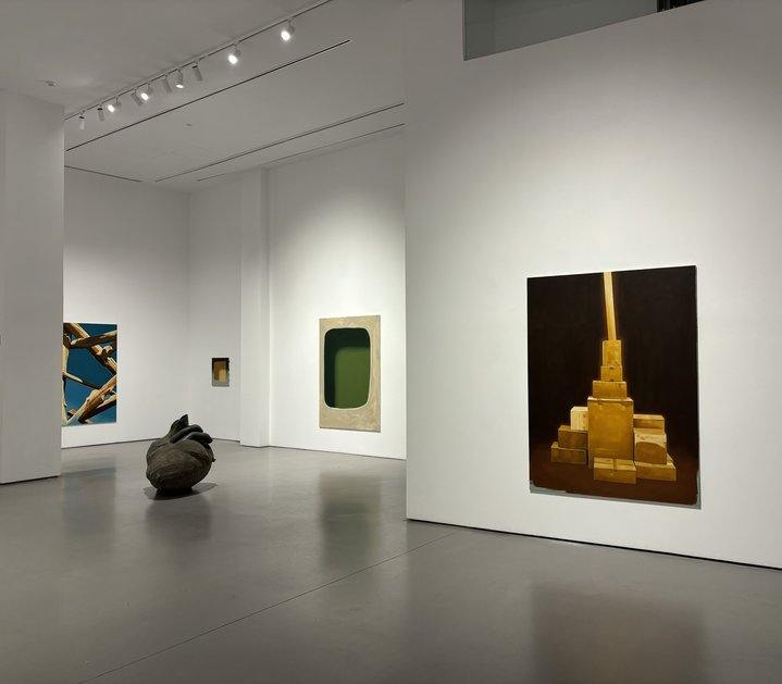Andrei Roiter, OPEN, Galeria Alvaro Alcazar, Madrid