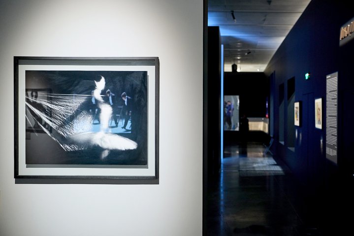 20th Century Dance, Matisse, Malevich, Diaghilev, Kandinsky, Jewish Museum and Tolerance Centre