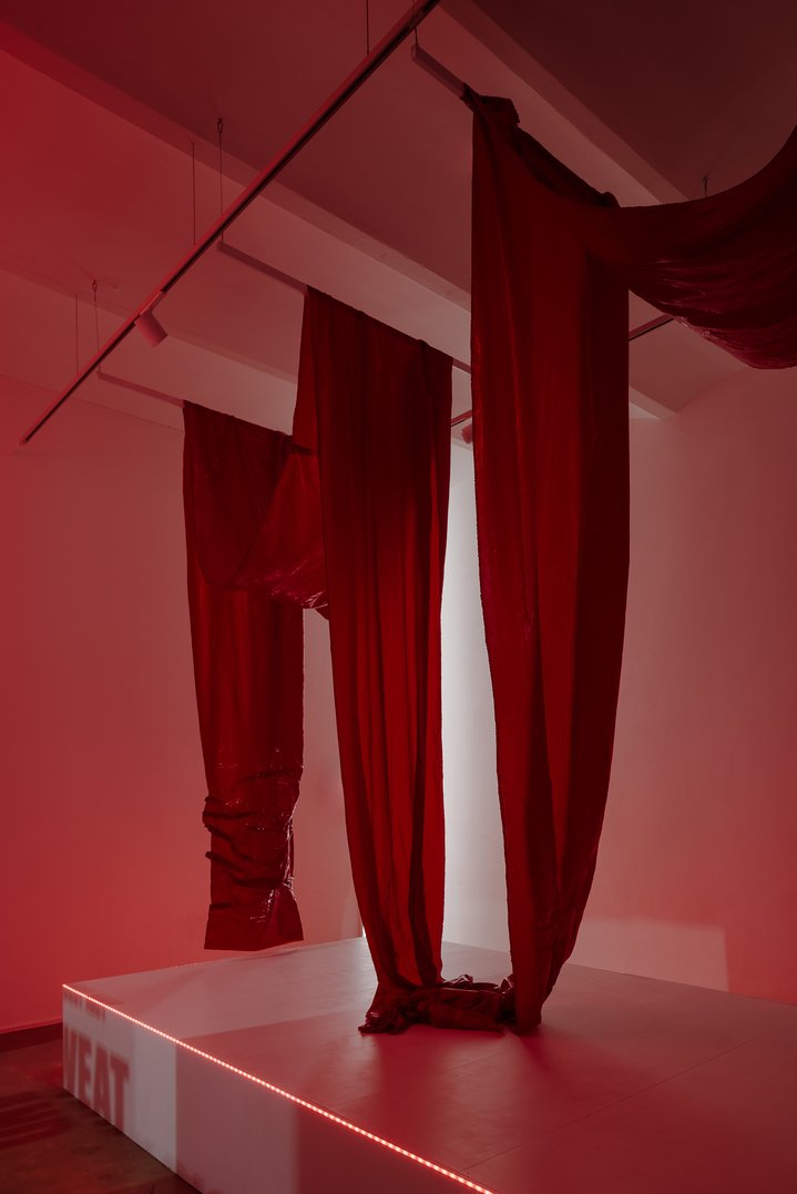 Diana Burkot, Sweat and Blood, Vienna Actionism Museum, Actionism