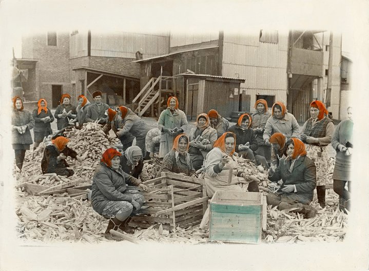Ukrainian Dreamers. Kharkiv School of Photography, Kommunale Galerie, Viktor and Sergiy Kochetov, Museum of the Kharkiv School of Photography Diligently Sorting Harvest and Having No Clue There are Beautiful Clouds Above Them,