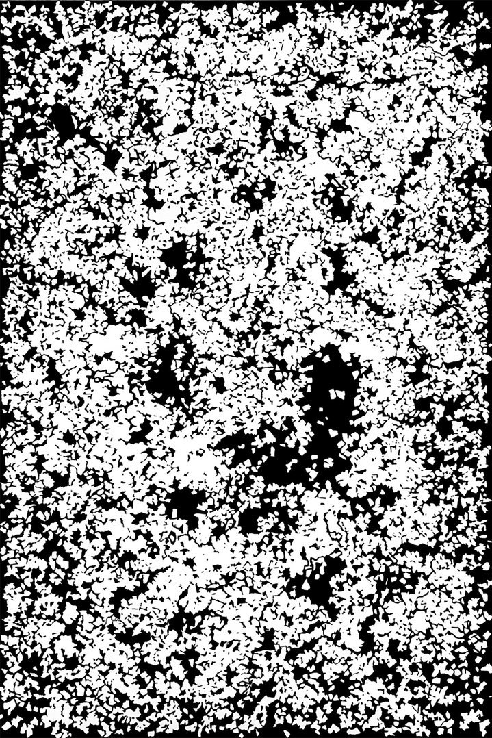Lydia Zhudro, Entropy, Cosmoscow, Silence