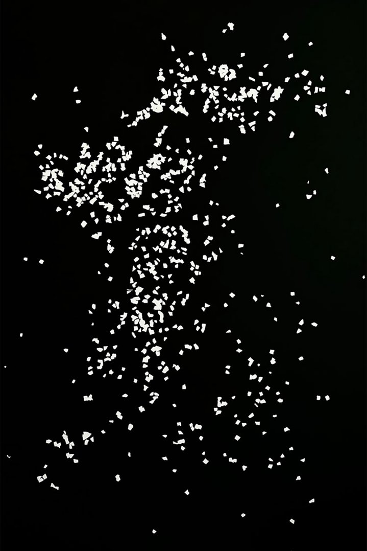 Lydia Zhudro, Entropy, Cosmoscow, Silence