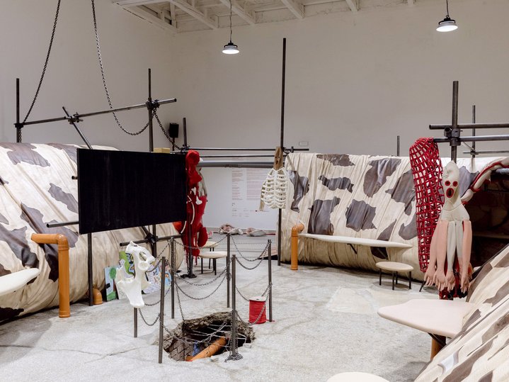 60th International Art Exhibition, La Biennale di Venezia, Pavilion of Czech (Republic), The heart of the giraffe in captivity is twelve kilos lighter