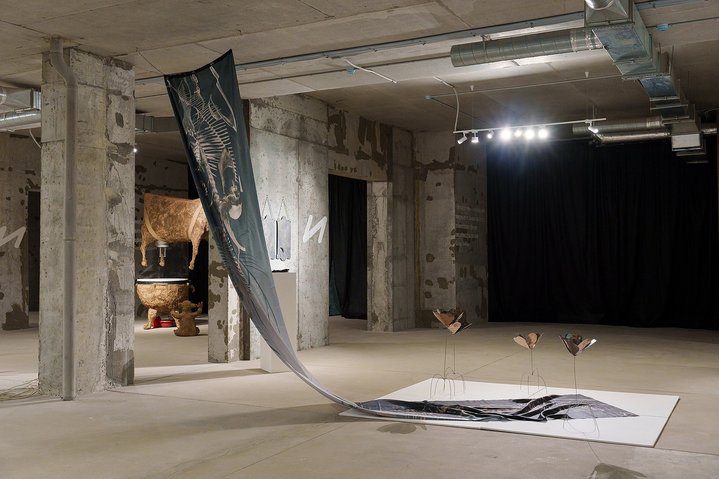 The Dream Achipelago, ZIM Galereya, Samara, Sfera Contemporary Art Foundation