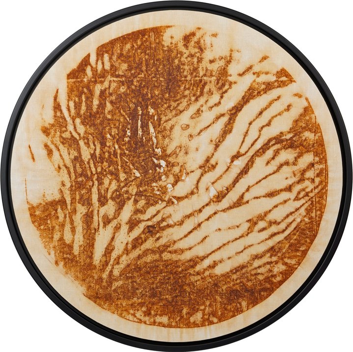 Vadim Kondakov, Sculpture, House Plants, Uzel Tree, Seedling, Ore Period, Form of Exclusion, Inner Revolution