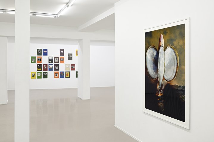 Boris Mikhailov, Colour Backgrounds,  Reverse Perspective, Galerie Suzanne Tarasieve