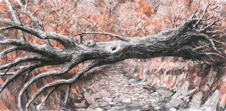 Alexey Kallima, The Postman beneath the Fallen Bridge, Vladey, Vladey Space