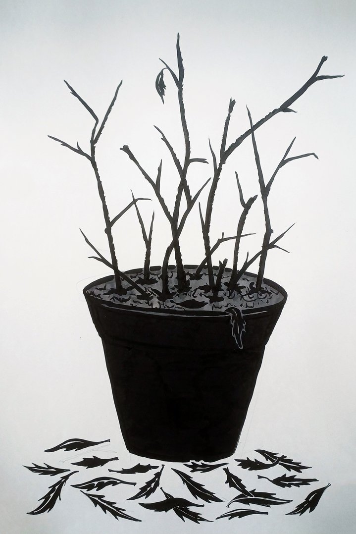 Evgeny Granilshchikov, Anna Nova Gallery, Mist, Dead flowers
