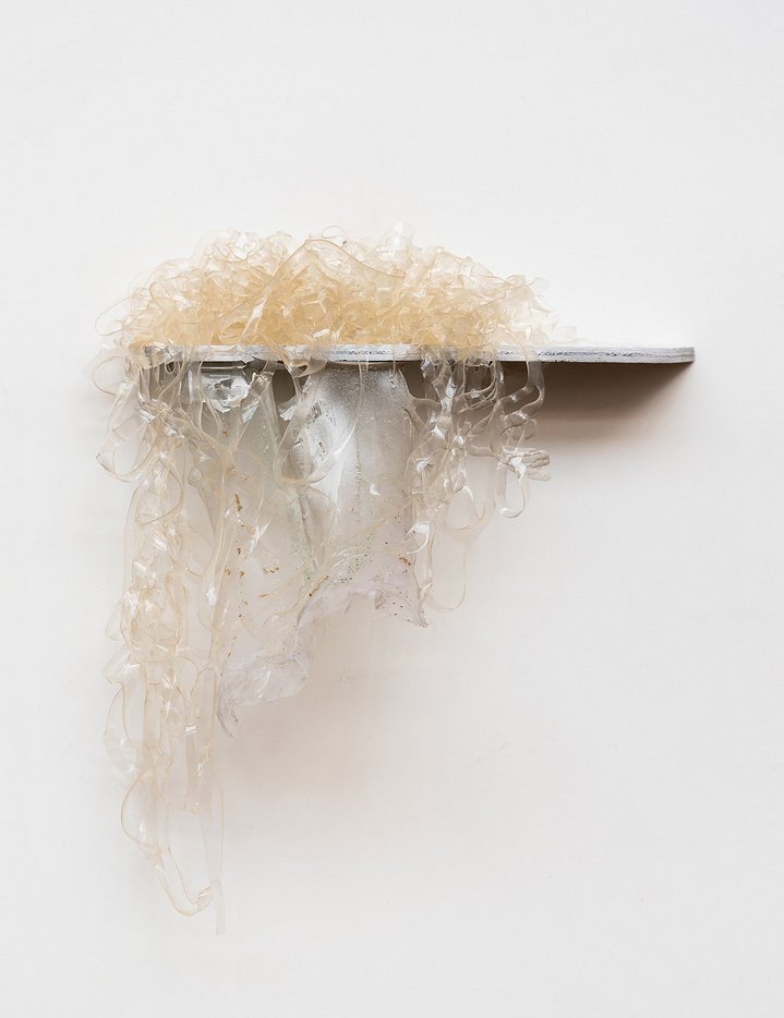 Daiga Grantina, Leaves, Emalin Gallery, London
