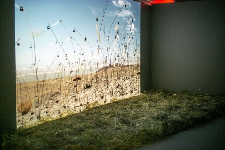Fondation Louis Vuitton, Pushkin museum, exhibition, Christian Boltanski, Animitas