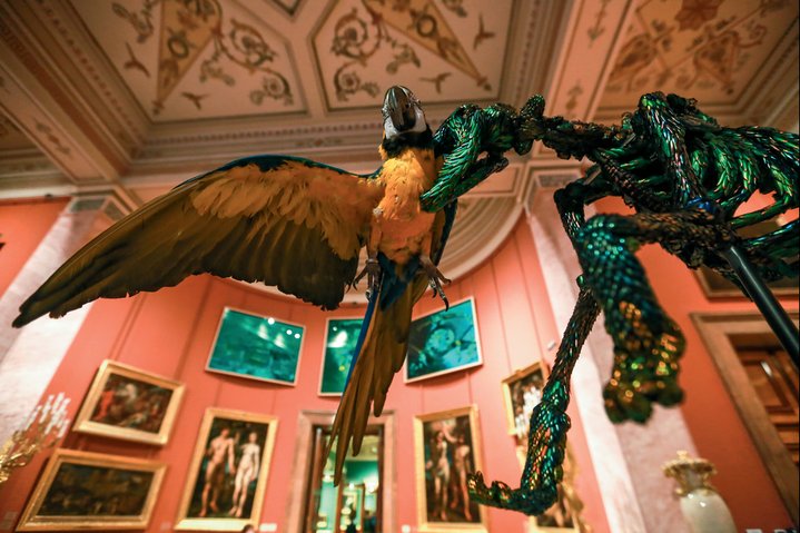 Jan Fabre