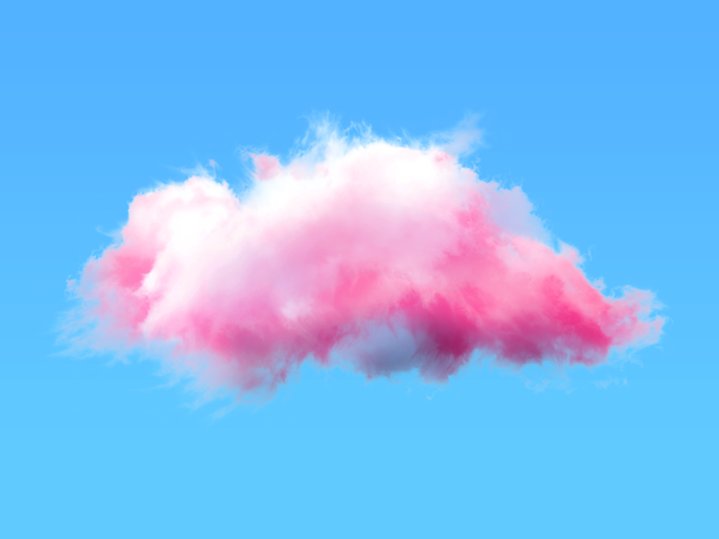 Laure Prouvost