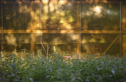 Veretyevo: art on the swamp