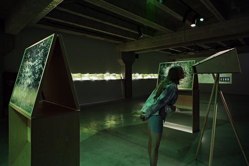Vladislav Efimov: beyond photography