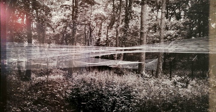 kinetic art, land art, Cyclopa, forest