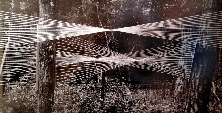 kinetic art, land art, Cyclopa, forest