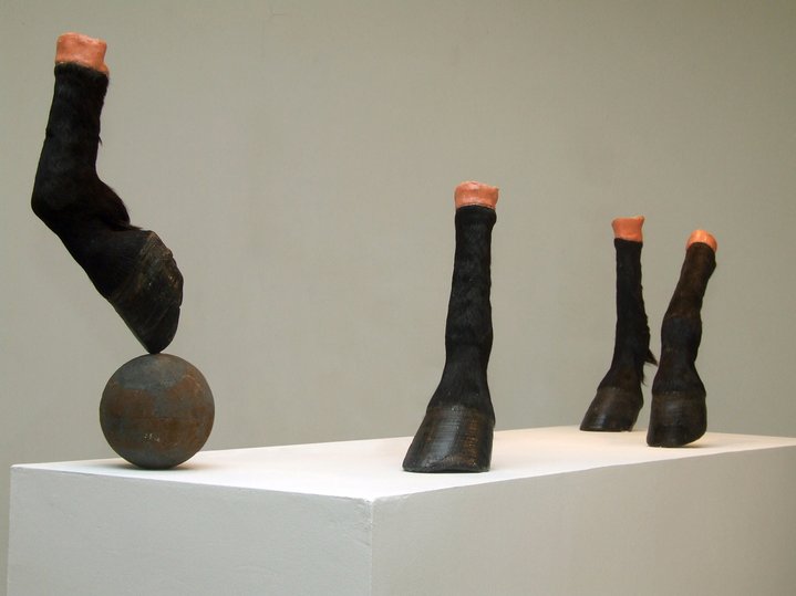 contemporary art, installation, horse