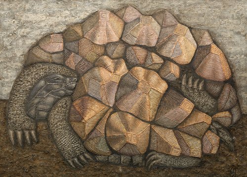 Dmitri Plavinsky and a tortoise that fell from the sky