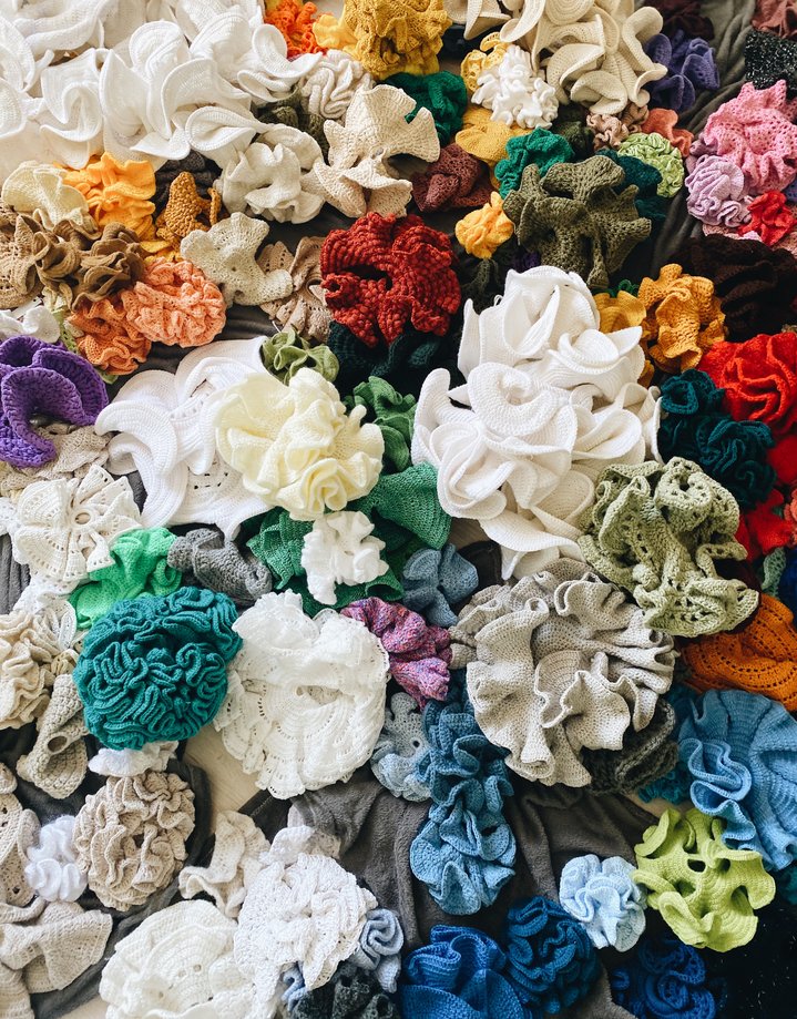 biennale, Daina Taimina