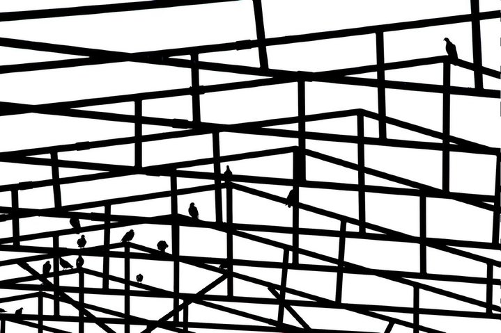 contemporary art, photography
