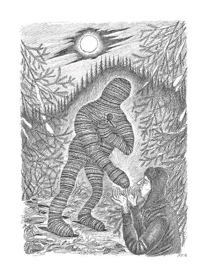 illustration, book