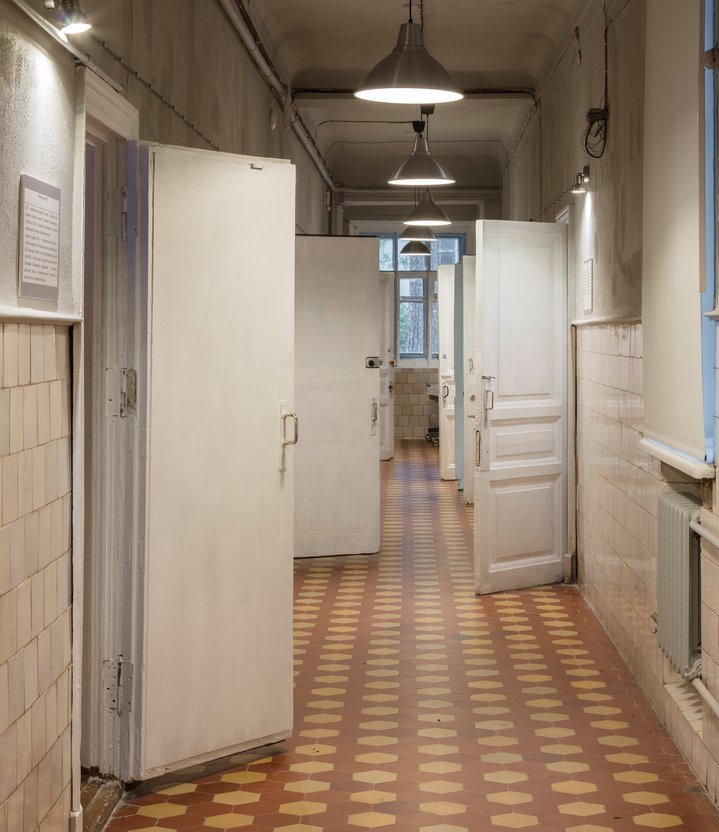 corridor, physiology, science art, academy, art intervention