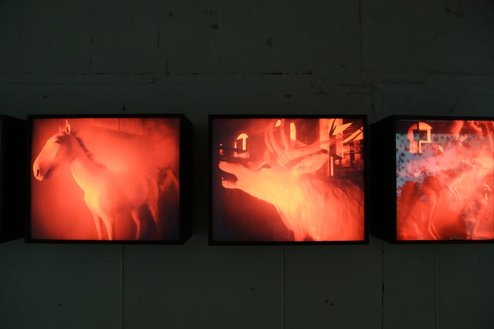 russian art, ural biennale, immortality, video art, installation