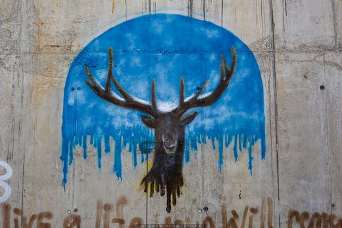 Vladikavkaz: contemporary art and ethnic heritage
