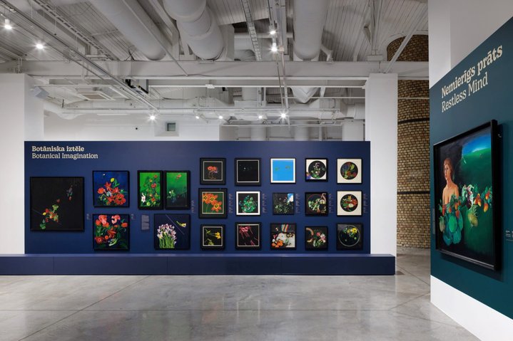 Unframed, Leis, Tabaka, Rožanskaitė, Zuzeum